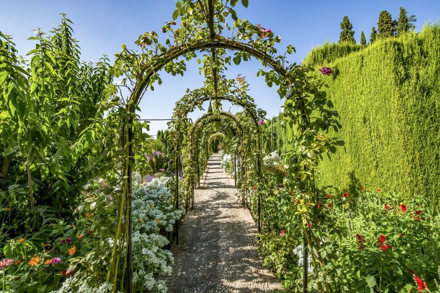 Granada: Alhambra, Nasrid, and Generalife Private Tour - What to bring, what to wear, and how to keep your day flexible