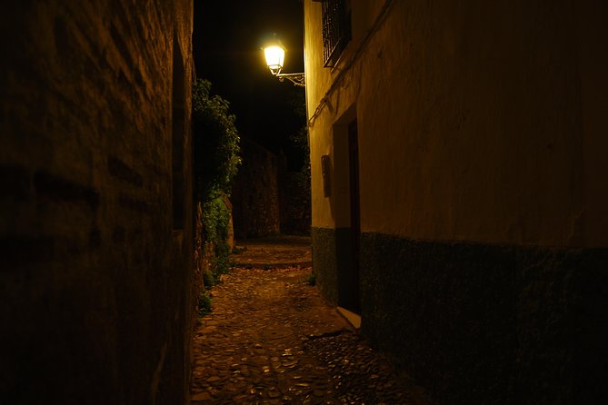 Granada: Ciudad oscura. - Stop 2: Granada Cathedral and the Devil Stories