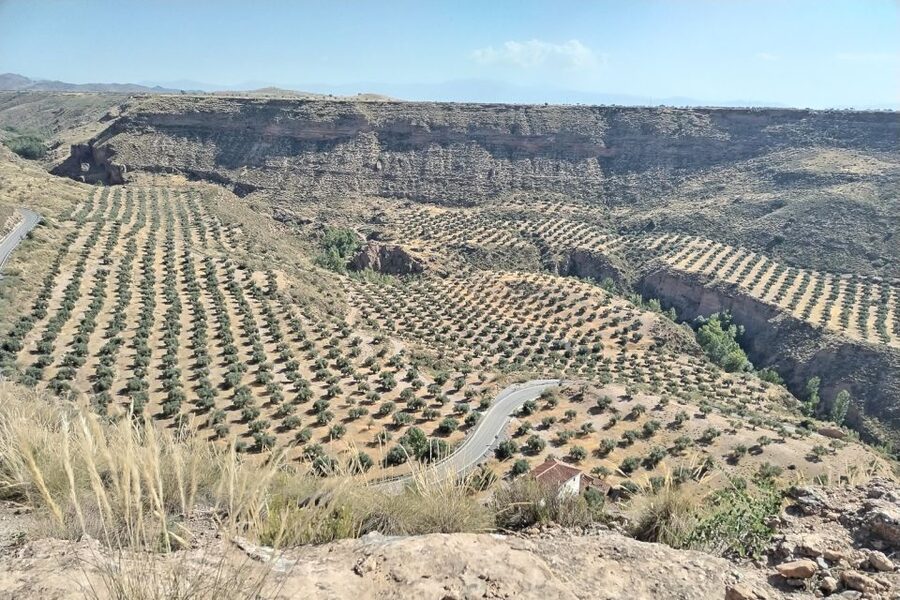 Granada: End of the World Viewpoints 4x4 Tour in the Geopark - End of the World Viewpoints and Paleo-Fardes: Where the Geology Explains Itself