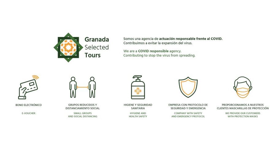 Granada: Fast-Track Alhambra & Nasrid Palaces Guided Tour - Key highlights you will feel right away