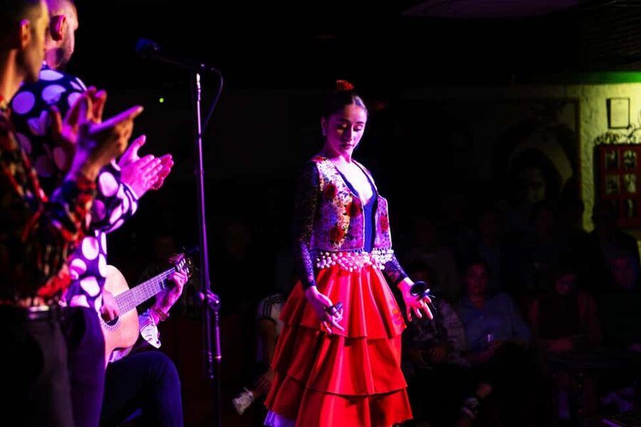 Granada: Flamenco Show at Tablao Flamenco Albayzín - Languages and what kind of explanation you will get