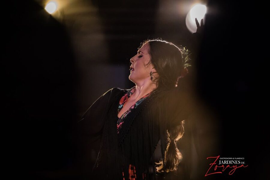 Granada: Flamenco Show in Albaycin - Jardines de Zoraya - Where You Meet, What to Do Before the Show