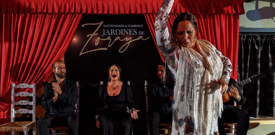Granada: Flamenco Show in Albaycin - Jardines de Zoraya - Music, Clapping, and How the Room Changes the Sound