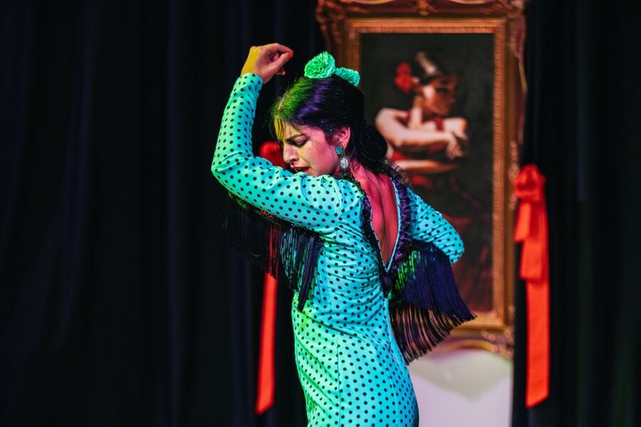 Granada: Flamenco Show in La Alboreá - The Right Kind of Flamenco Setup in Central Granada