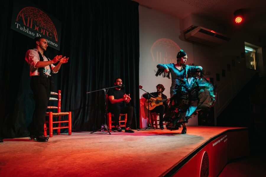 Granada: Flamenco Show in La Alboreá - Choosing Your Seat Without Guesswork