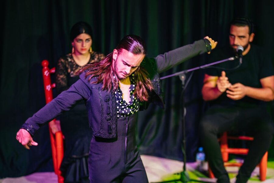 Granada: Flamenco Show in La Alboreá - Value for Money: Why Around $21 Feels Fair