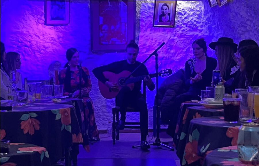 Granada: Flamenco Show in the Cave LA FARAONA - Practical Tips Before You Go Into the Cave