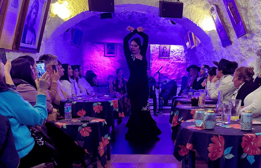 Granada: Flamenco Show in the Cave LA FARAONA - Where to Meet: Cam. del Sacromonte, 53
