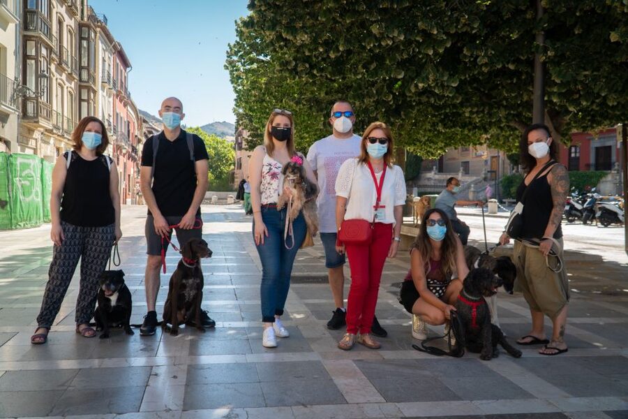 Granada: Guided Albaicín Visit with Pets - Plaza de San Nicolás and the Alhambra view you’ll understand