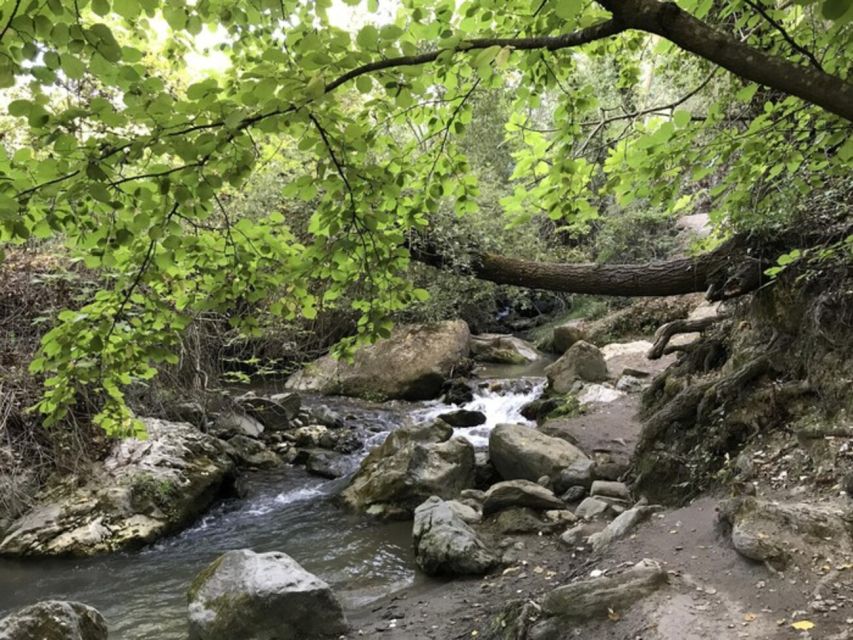 Granada: Guided Day Hike in Los Cahorros de Monachil - Key things to know before you go
