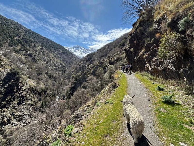 Granada: High Sierra Nevada Hiking Tour to 3000 Meters - Quick hits