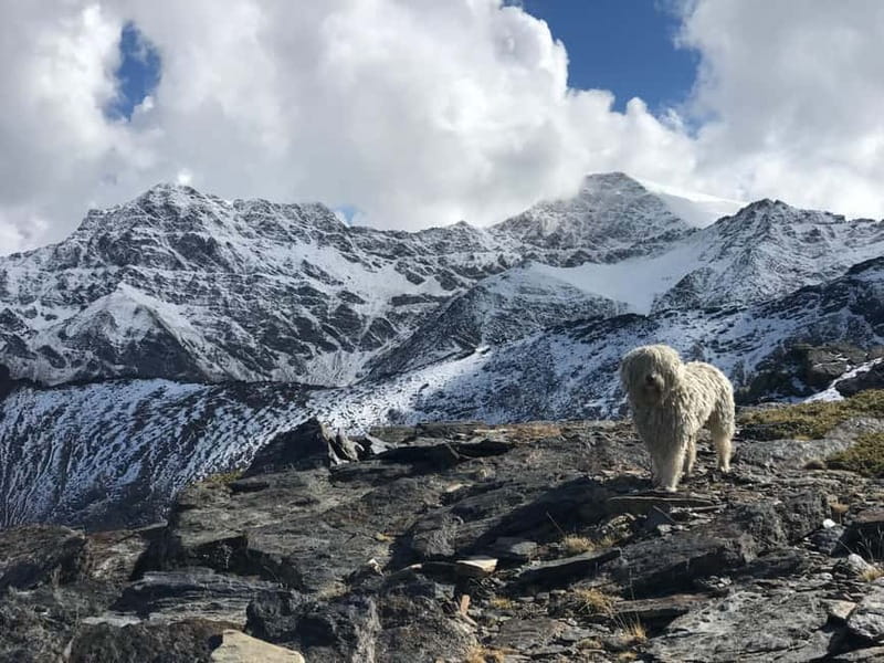 Granada: High Sierra Nevada Hiking Tour to 3000 Meters - Who Should Book This Hike, and Who Should Skip It