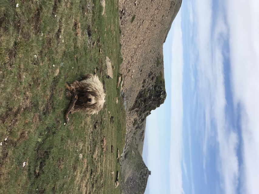 Granada: High Sierra Nevada Hiking Tour to 3000 Meters - The Big Climb to Tajos del Campanario and the Mulhacen View