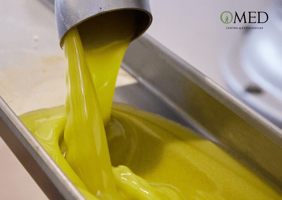 Granada in EVOO: Guided tour and unique sensorial tasting - The sustainability angle: what you learn when it is part of the process