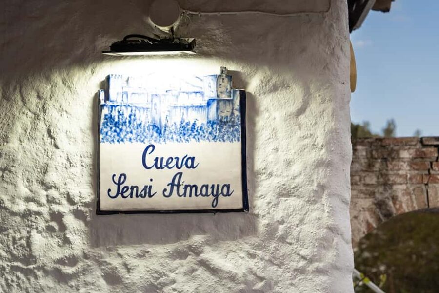 Granada: Los Amayas Cave Traditional Flamenco Show - Who This Works Best For (And Who Might Want a Different Show)