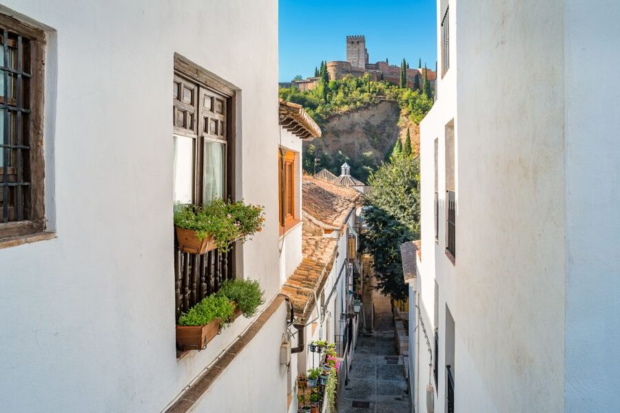 Granada: Moorish Monuments Entrance Tickets - The Maristán hospital of Sultan Muhammad V