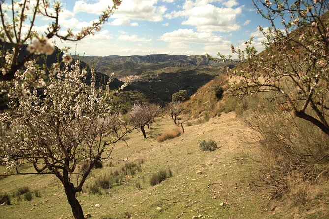 Granada: Nature, Wildlife and Authentic Villages E-bike Tour - Sierra Nevada National Park riding: where the hours turn into memories