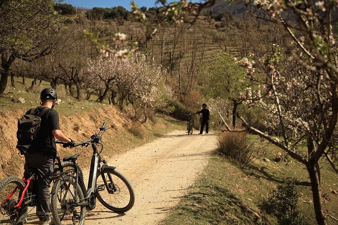 Granada: Nature, Wildlife and Authentic Villages E-bike Tour - How hard is it, really? Your fitness check in plain language
