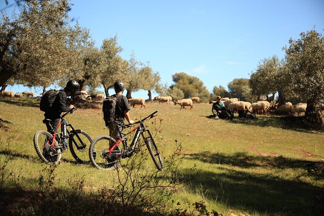 Granada: Nature, Wildlife and Authentic Villages E-bike Tour - Meet in Centro, roll out at 10:00, and expect a tight little group
