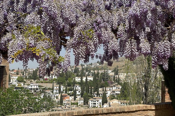 Granada : Private Alhambra Tour + Nazaries Palaces (VIP) - Generalife gardens: the calm start that sets the mood