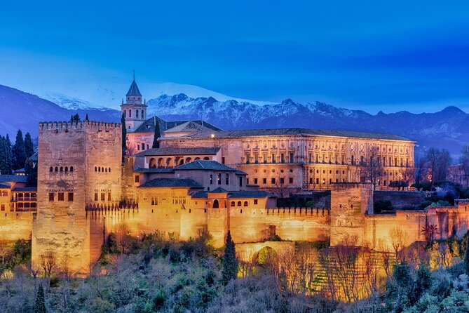 Granada : Private Alhambra Tour + Nazaries Palaces (VIP) - Guides make or break this kind of tour