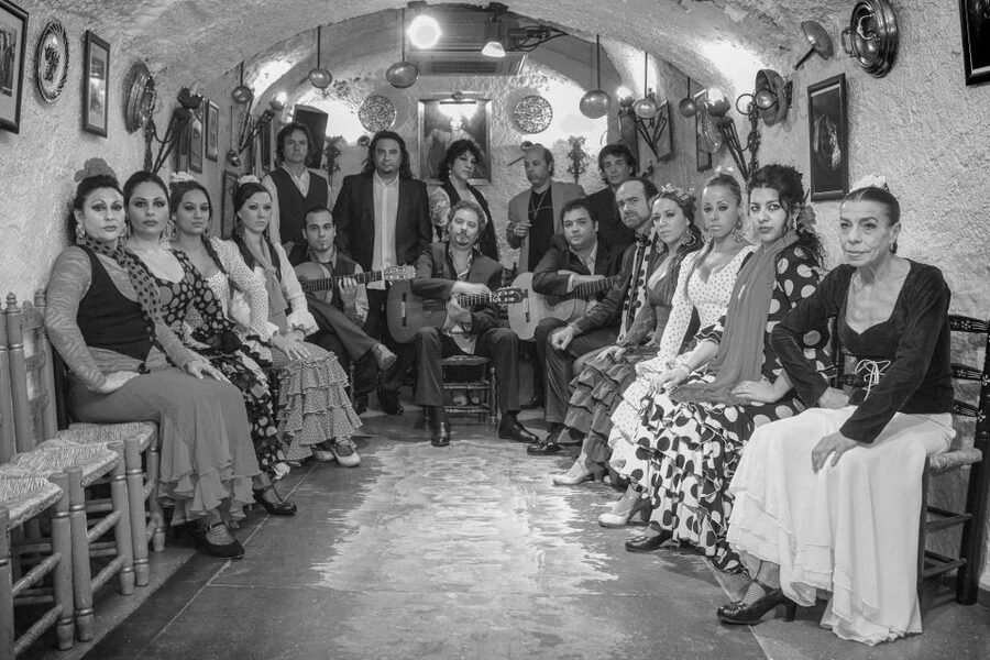 Granada: Sacromonte Caves Flamenco Show with Dinner - Should You Book It?