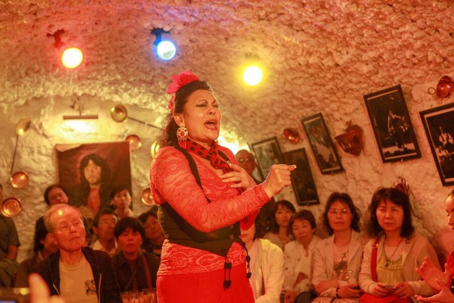 Granada: Sacromonte Caves Flamenco Show with Dinner - Who This Fits Best (And Who Might Prefer Something Else)