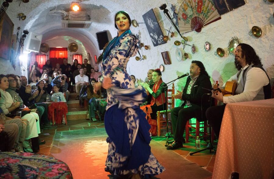 Granada: Sacromonte Caves Flamenco Show with Dinner - Practical Tips So Your Night Goes Smooth