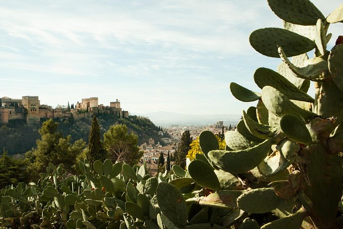 Granada: Sacromonte Private Tour - What You Get from a Private Local Guide (and Why It Matters)