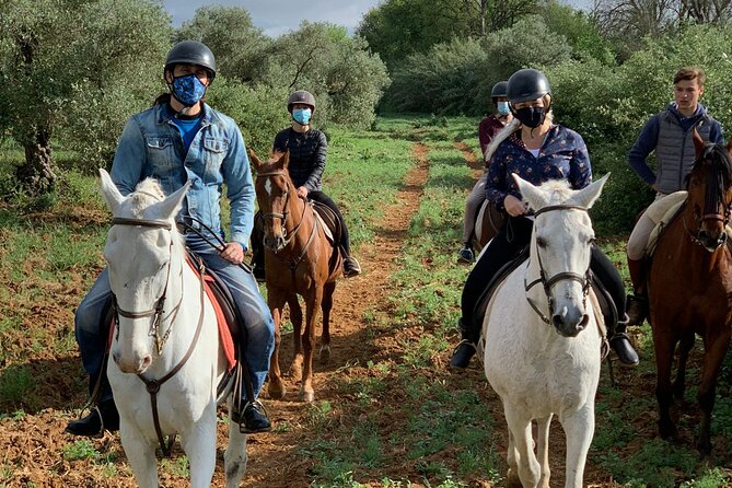 Granada & Sierra Nevada Horse Riding Tour - From Granada to the Sierra Nevada foothills