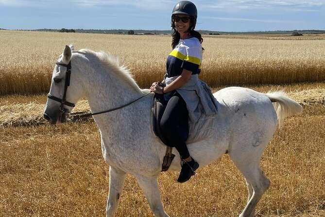 Granada & Sierra Nevada Horse Riding Tour - The ranch welcome: owners, horses, and real handling time