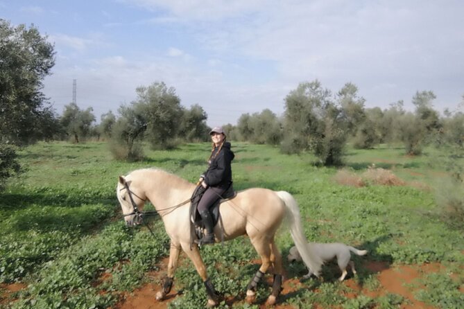 Granada & Sierra Nevada Horse Riding Tour - How long is it really, and why that matters