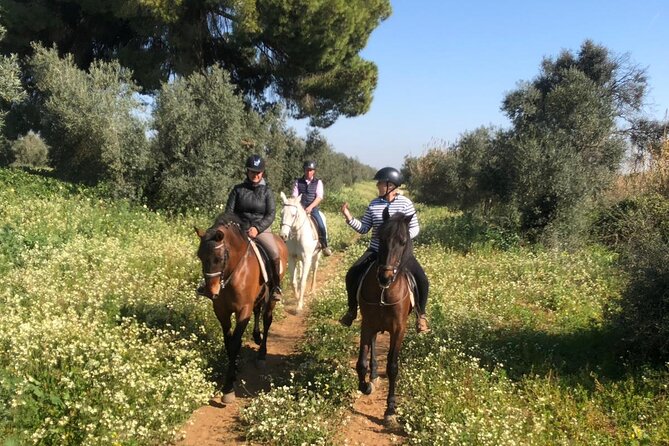 Granada & Sierra Nevada Horse Riding Tour - Price and value: is $150.51 a good deal?