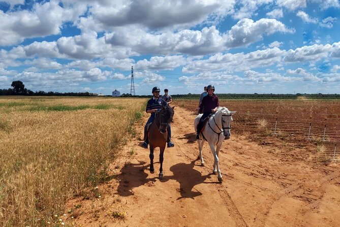 Granada & Sierra Nevada Horse Riding Tour - Pickup, transfers, and how to plan your timing