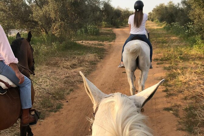 Granada & Sierra Nevada Horse Riding Tour - Who this is best for (and who should think twice)