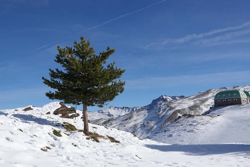 Granada: Sierra Nevada Safari Tour to 2500 m with a Drink - Who should book this Sierra Nevada safari tour