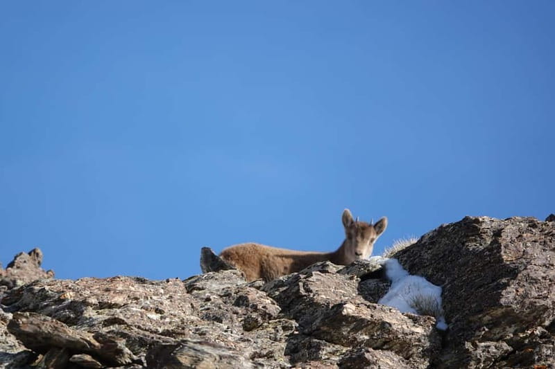 Granada: Sierra Nevada Safari Tour to 2500 m with a Drink - The old routes you pass: Roman gold, Moorish ice, and river clues
