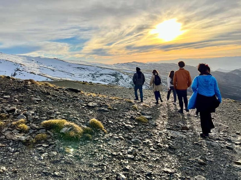 Granada: Sierra Nevada Safari Tour to 2500 m with a Drink - Plants, wildlife, and scent: the sensory bonus on mountain passes