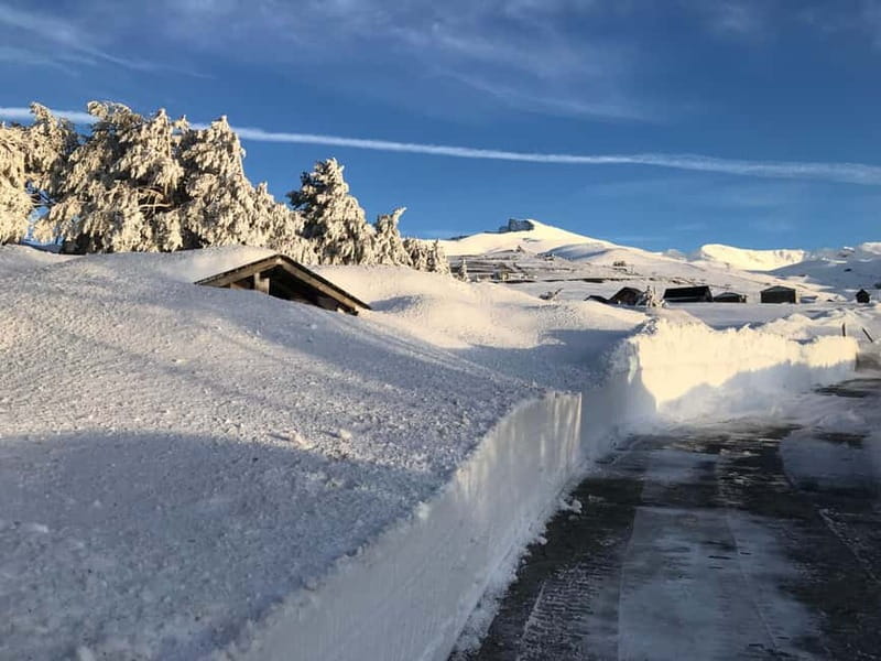 Granada: Sierra Nevada Safari Tour to 2500 m with a Drink - The 4x4 ride: how the roads, group size, and guide style shape the day