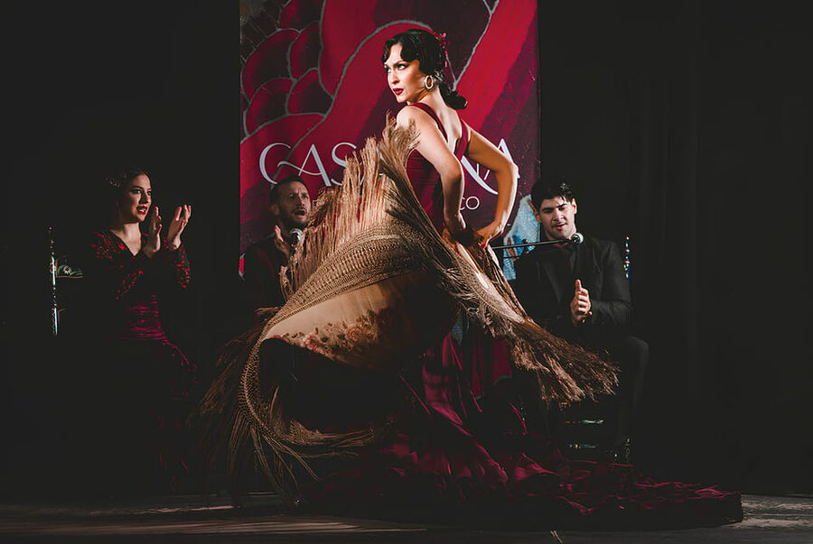 Granada: Traditional Flamenco Show at Tablao Casa Ana - The Curtain Reveal, Lighting, and Why the Room Matters