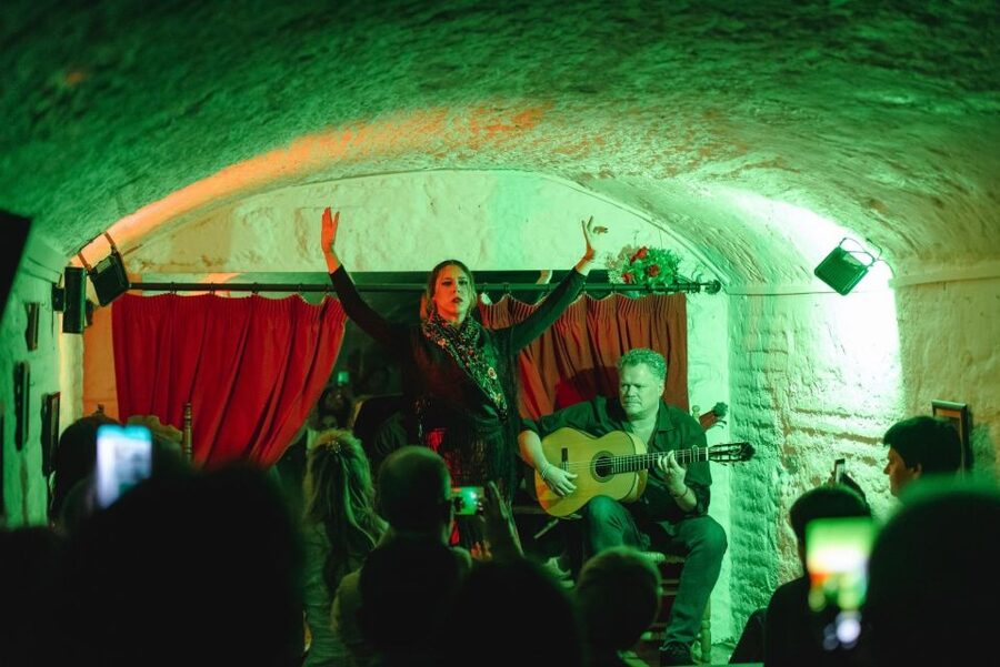 Granada: Traditional Flamenco Show in a Cave Entry Ticket - Cueva Flamenca La Comino and the seating reality
