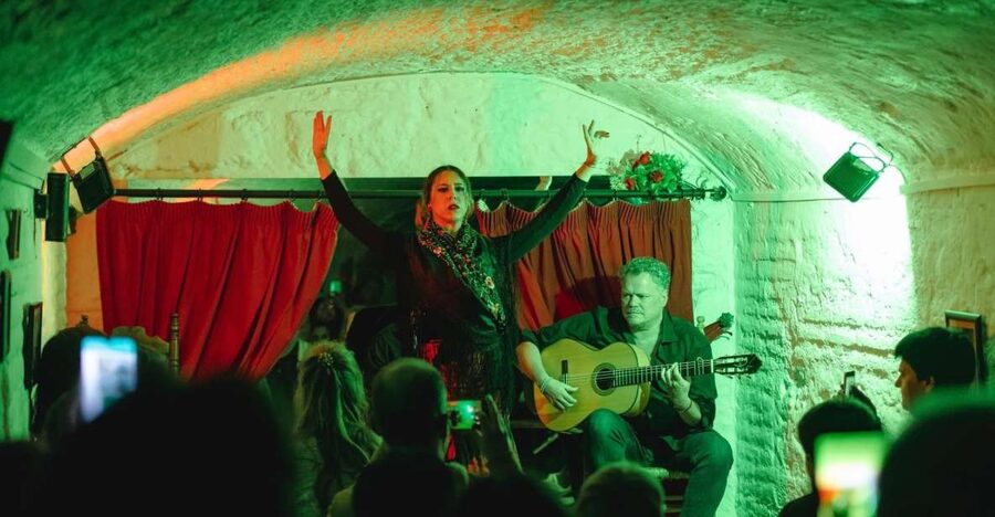 Granada: Traditional Flamenco Show in a Cave Entry Ticket - Your show timeline, from door time to the final notes