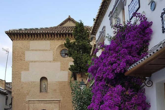 Granada Walking Tour: Albaicin and Sacromonte Quarters - Plaza de Isabel La Católica and Plaza Larga for cultural context