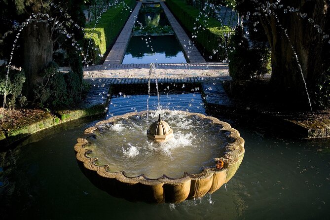 Guided tour of La Alhambra with tickets included - Nasrid Palaces with priority access: your main highlight, planned
