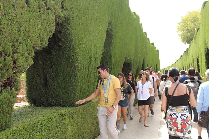 Guided visit to the Alhambra, Nasrid Palaces and Generalife - Meeting Point, Group Size, and What the 3-Hour Plan Really Means