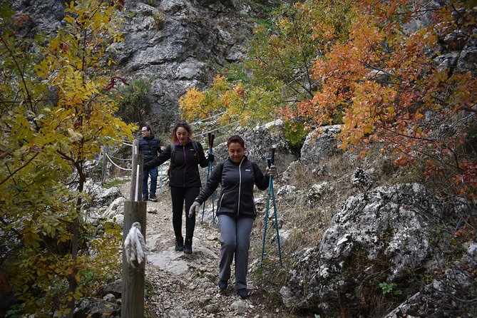 Hike along the Gollizno route - English-Friendly Guidance That Helps You Enjoy the Route