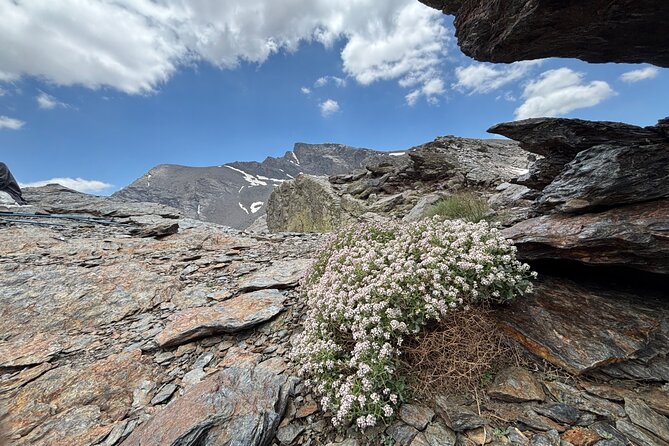 Hiking experience in the High Sierra Nevada National Park - Tajos del Campanario Summit: Muhacén, Veleta, and Alcazaba in One Glance