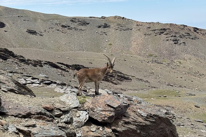 Hiking experience in the High Sierra Nevada National Park - Posiciones del Veleta: War Fortifications and Big Northern Views