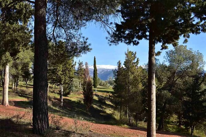 Hiking in the natural park on the outskirts of the Alhambra - Why This Hike Feels Like Granada, Not Just a Tour Stop