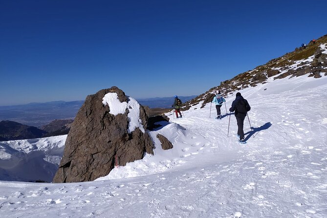 Hiking Snowshoeing in the Sierra Nevada Park, Granada - What Snowshoeing in the Sierra Nevada Feels Like From Granada